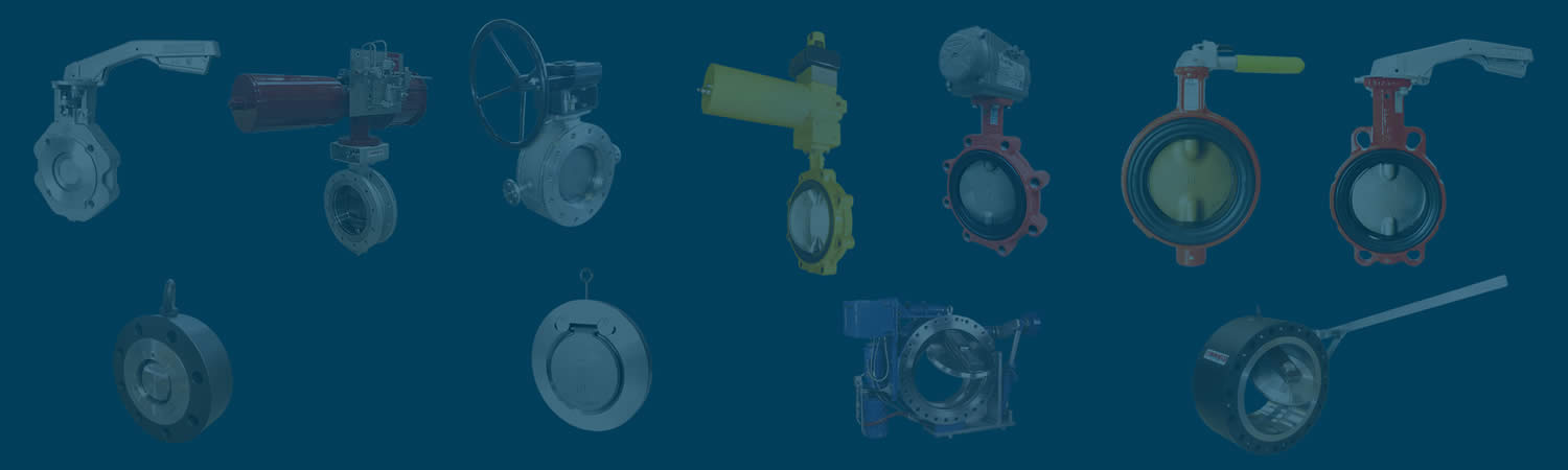 Valves and Check Valves