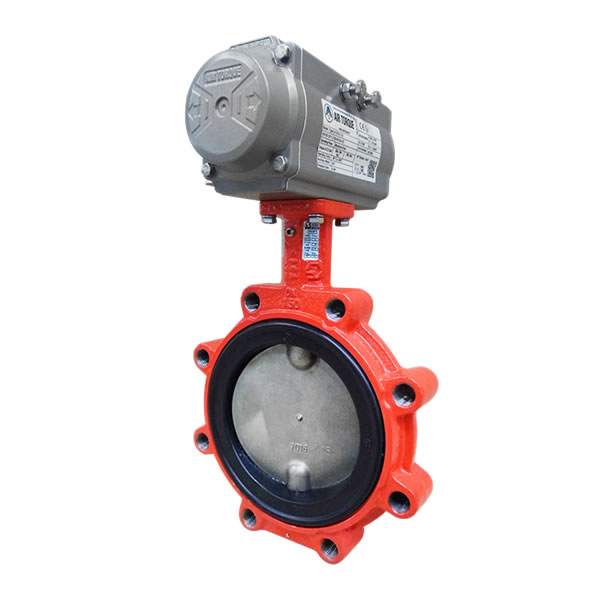 Lined Butterfly Valves SERIES 900 Industrial applications