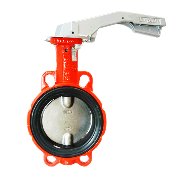 Lined Butterfly Valves